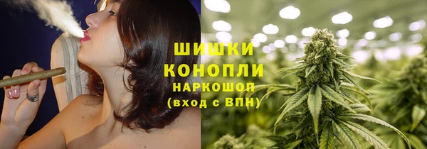 индика Верея