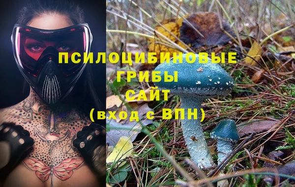 шишки Волоколамск