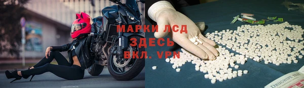 индика Верея