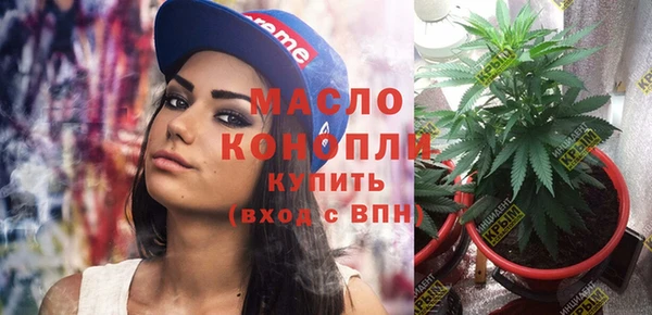 индика Верея