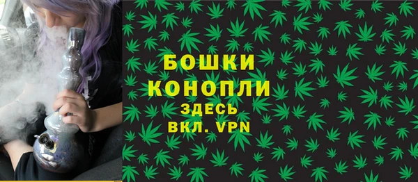 шишки Волоколамск