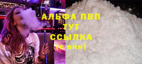 индика Верея