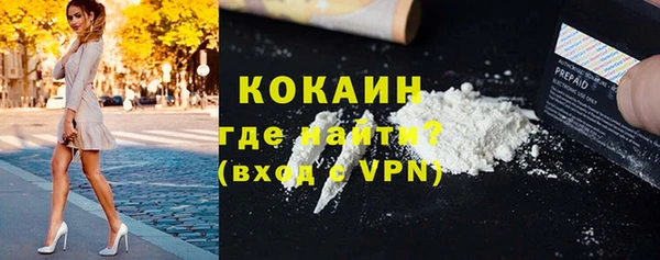 индика Верея