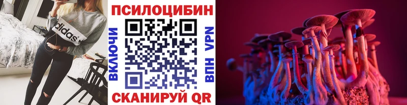 купить  сайты  Кочубеевское  Галлюциногенные грибы Psilocybine cubensis 